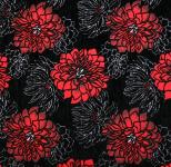 Hrizantem Flowers black red